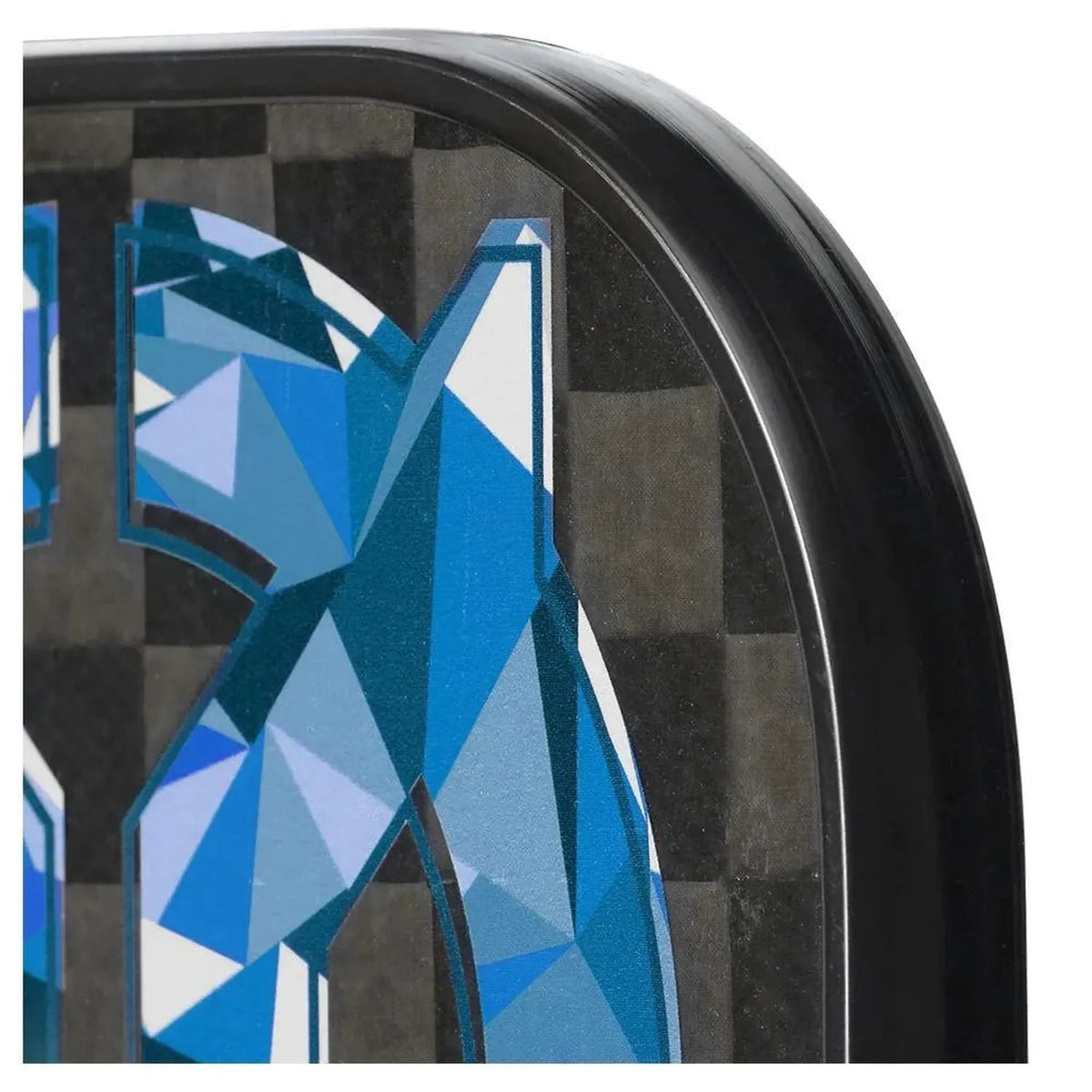 Outbreak Graphite Pickleball Paddle - Kings Dr